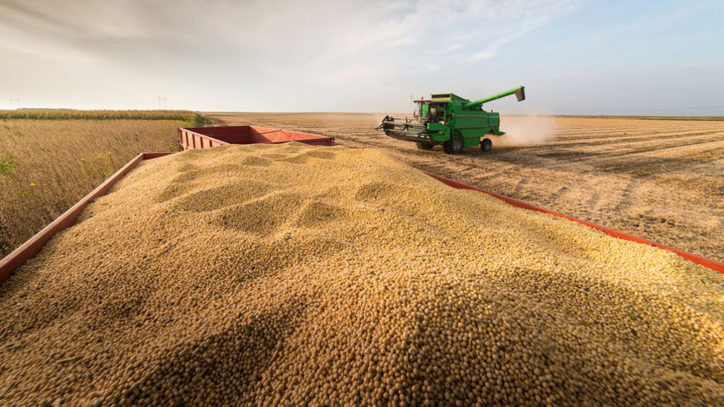 Prevén exportaciones por casi 20